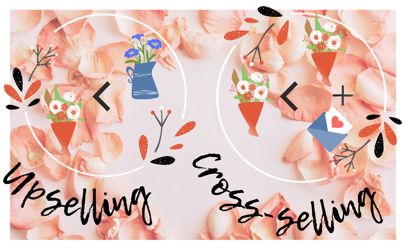 How to Upsell 5 Upselling Techniques + Examples to Drive Sales — Claspo.io